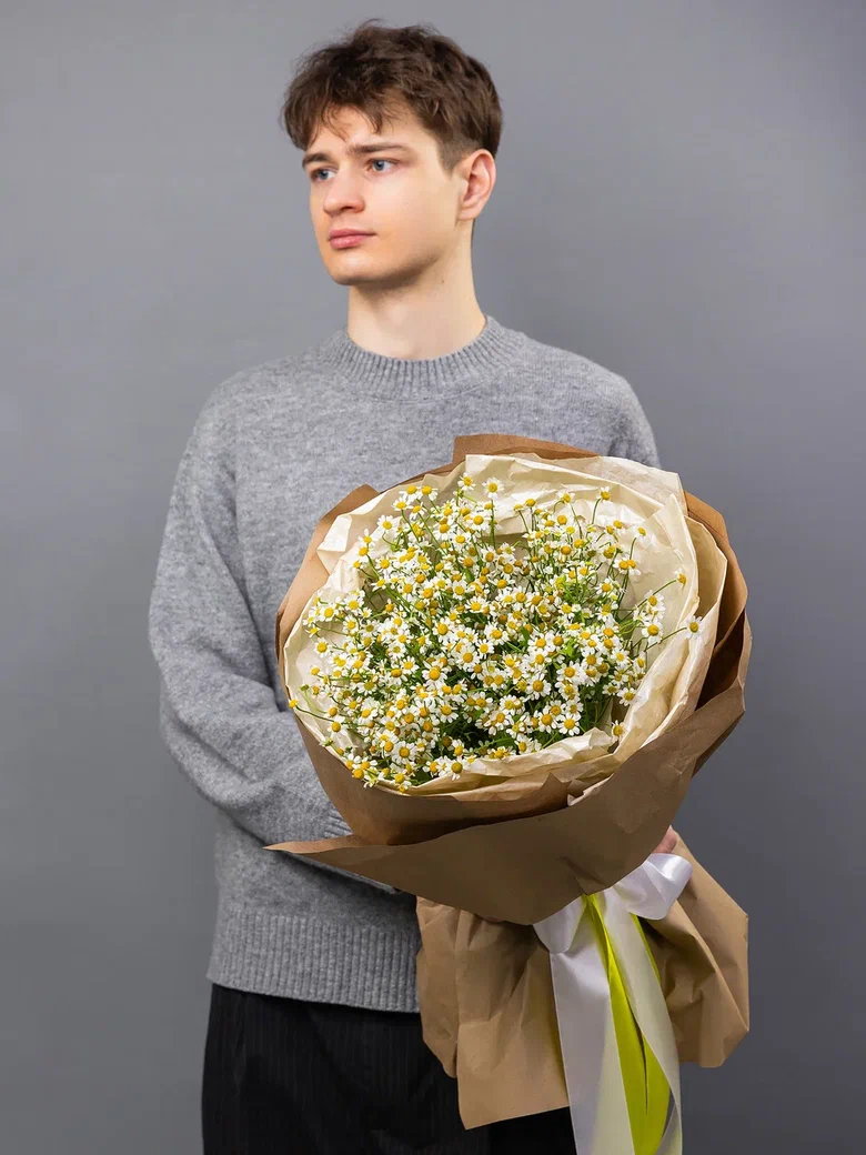 Ромашки 